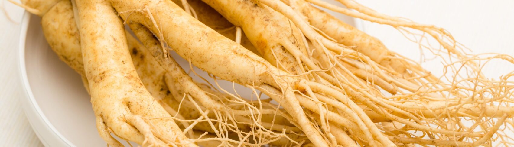 Ginseng